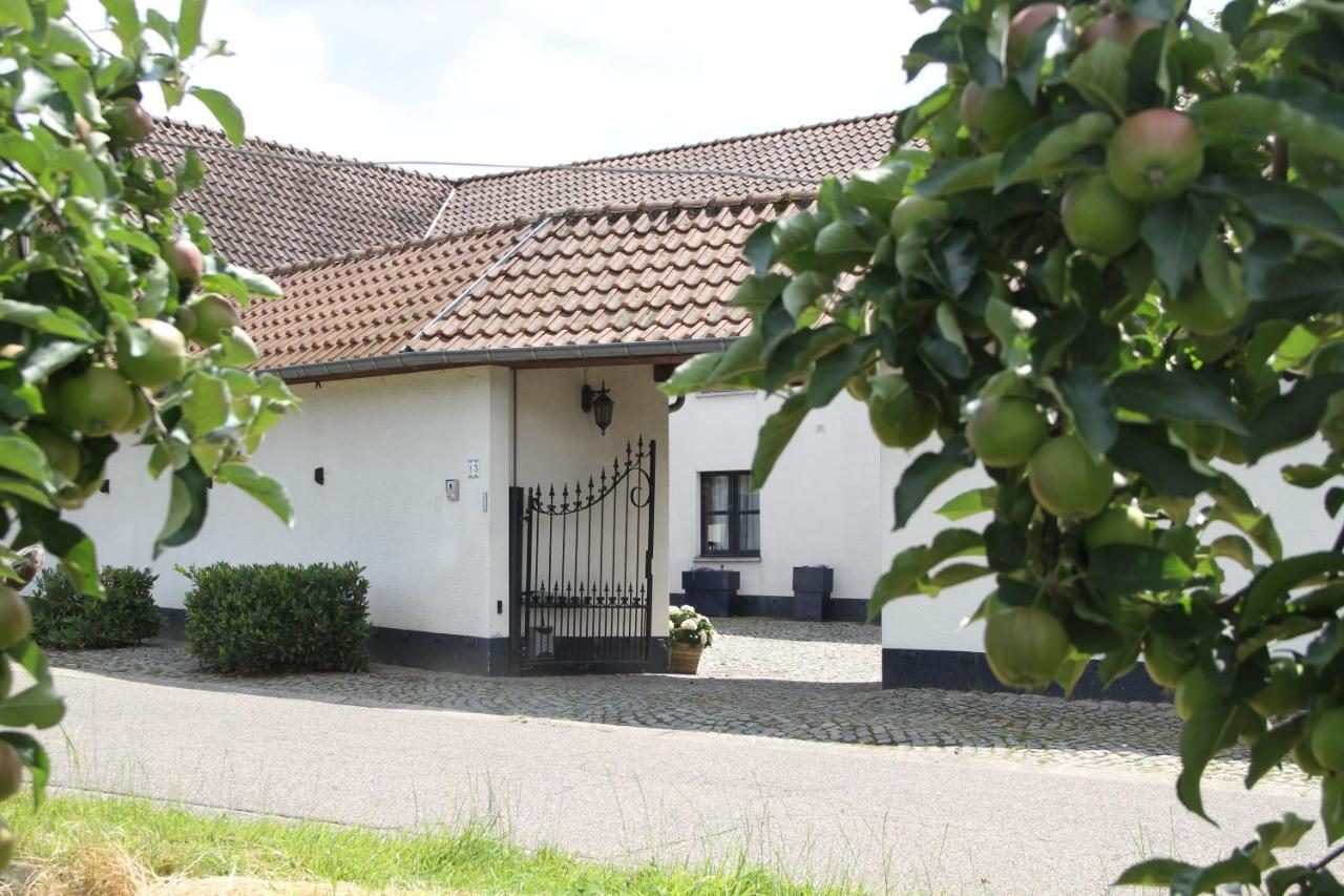 Bed and Breakfast Het Hemelsveld Hasselt Exteriér fotografie